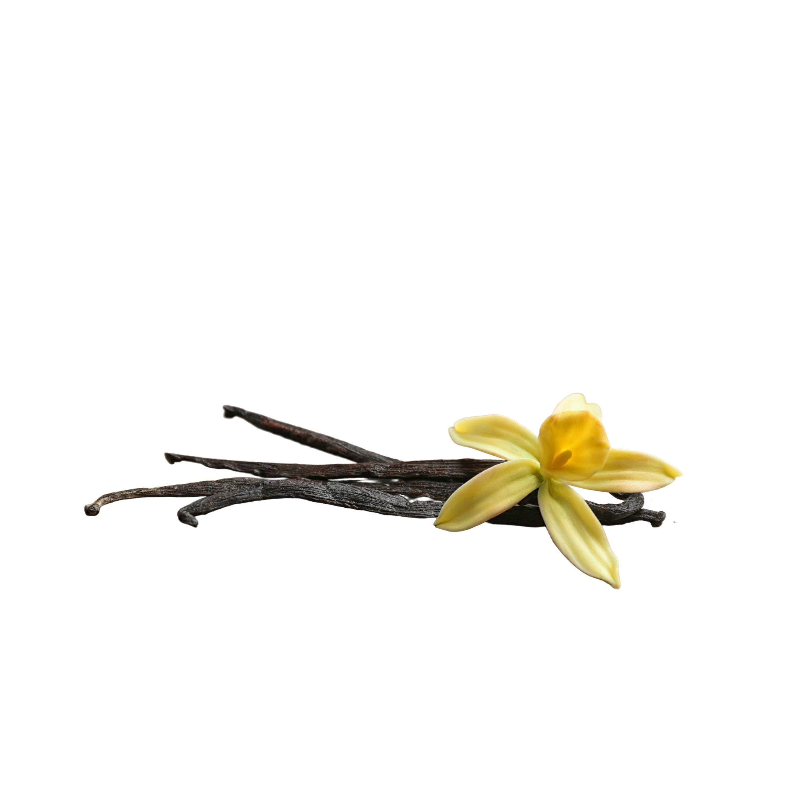 Vainilla